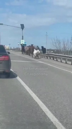 �� ������ � ���������� ����� ����� ���� � ����