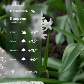 ������ � ���������� �� �������