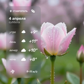 Доброе утро и хороших выходных!