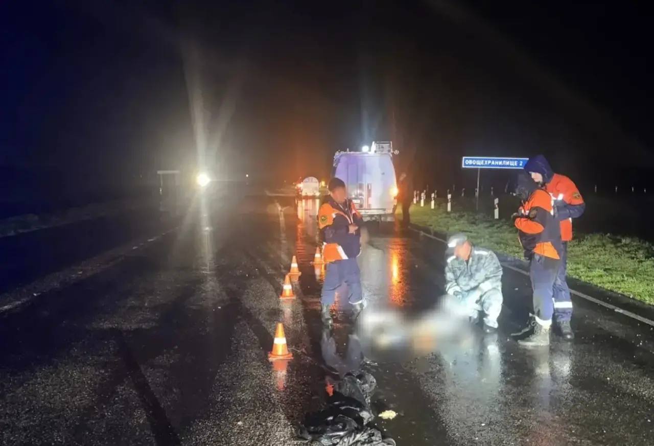 Пешеход погиб под колёсами большегруза на трассе в Красногвардейском округе