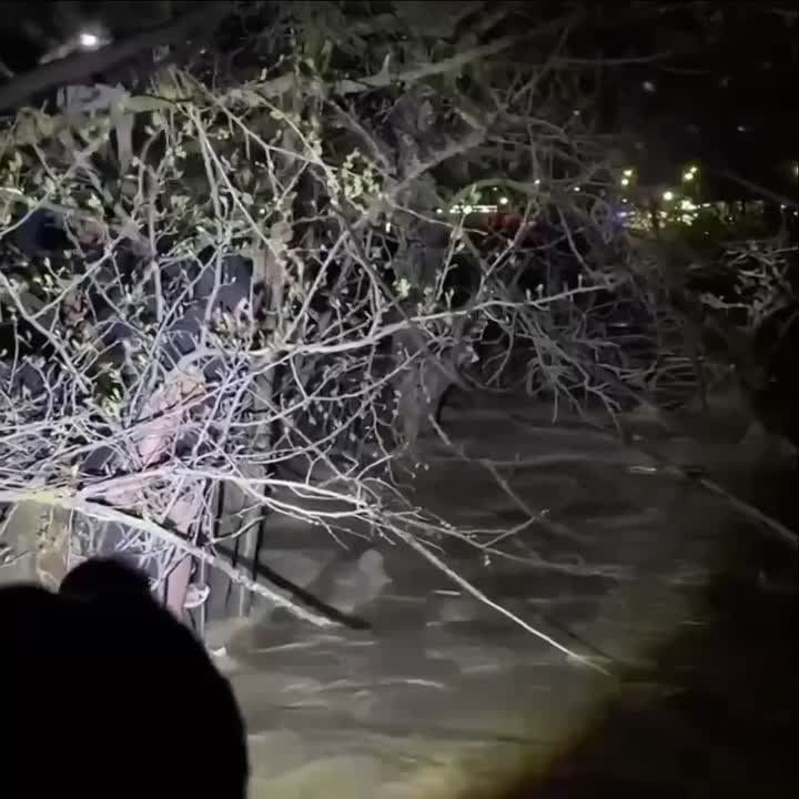 ����� ������� �� ������� � ����������� ������