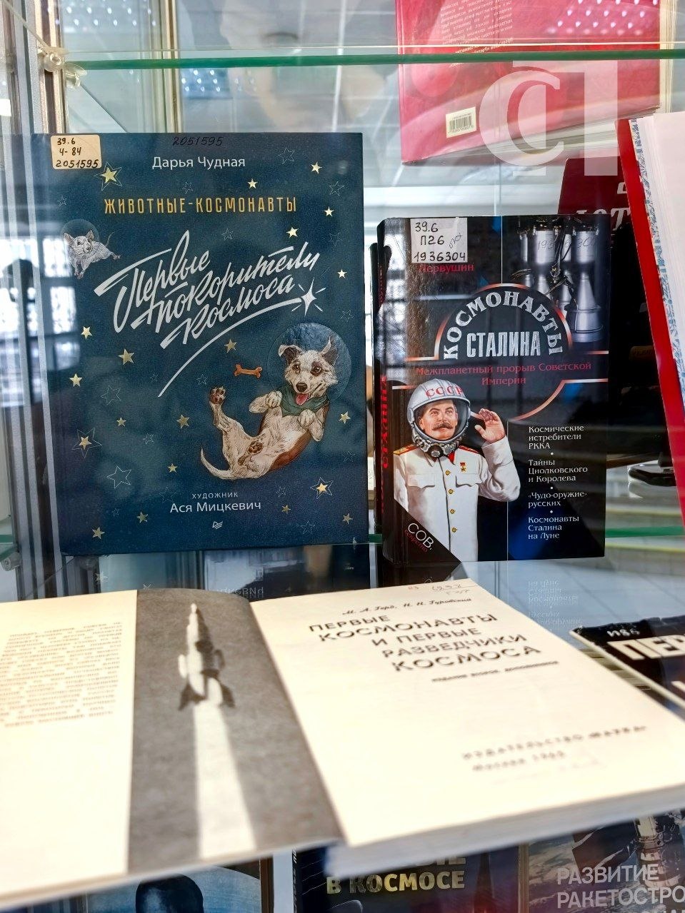 В Ставрополе в Лермонтовской библиотеке открылась книжная выставка «Первые в космосе» В Ставрополе в Лермонтовской библиотеке открылась книжная выставка «Первые в космосе»