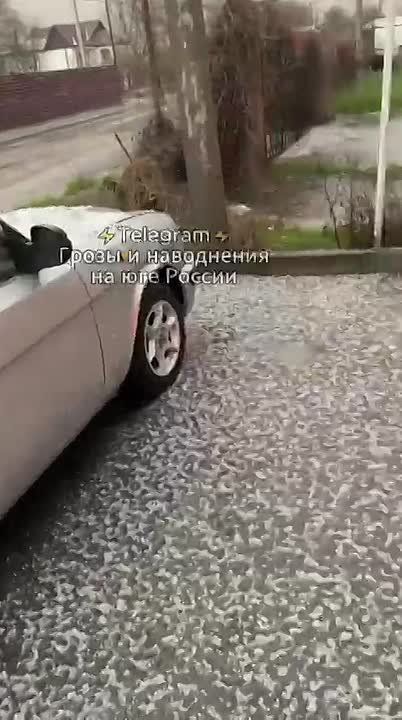 ����� ����� �� ����������. ����, ���� �� �����, �����������