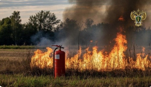 �� ���������� ��������� � ��������� ������ � ���������� �������� �������� ��������, ����������� �� �������