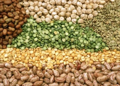 Секреты успешного огородничества: какие семена замачивать перед посадкой