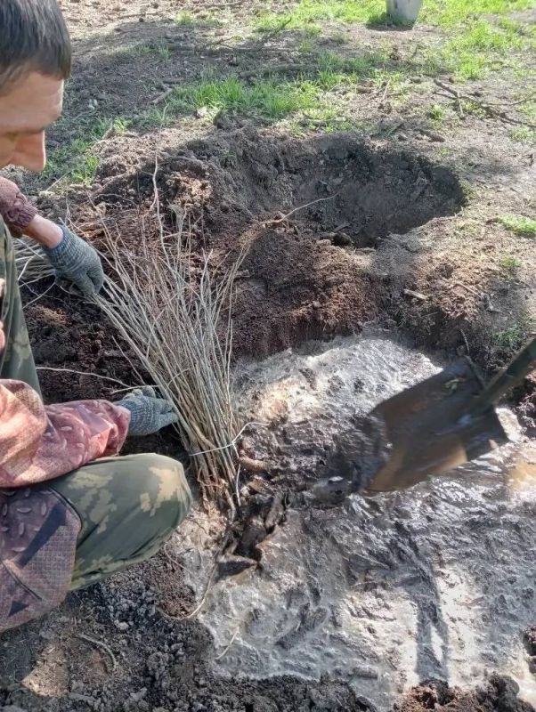 �������� ����������: ���������� ��������� ��������� �� ������������������