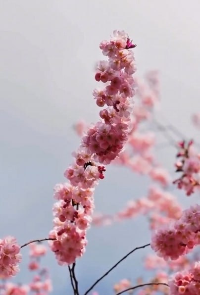 А вы видели, какая в Грозном красота? А вы видели, какая в Грозном красота?