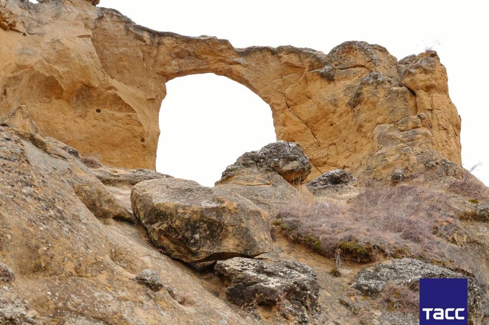 ��������� �������� ���� ������ � �����������