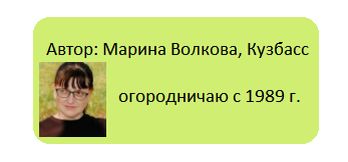 ������ �����: ������� �����, ������� ����� �����������