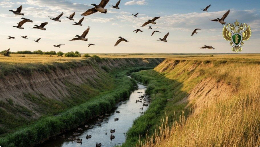 ����������� ����������� ���������� ������������ ����� �� �����