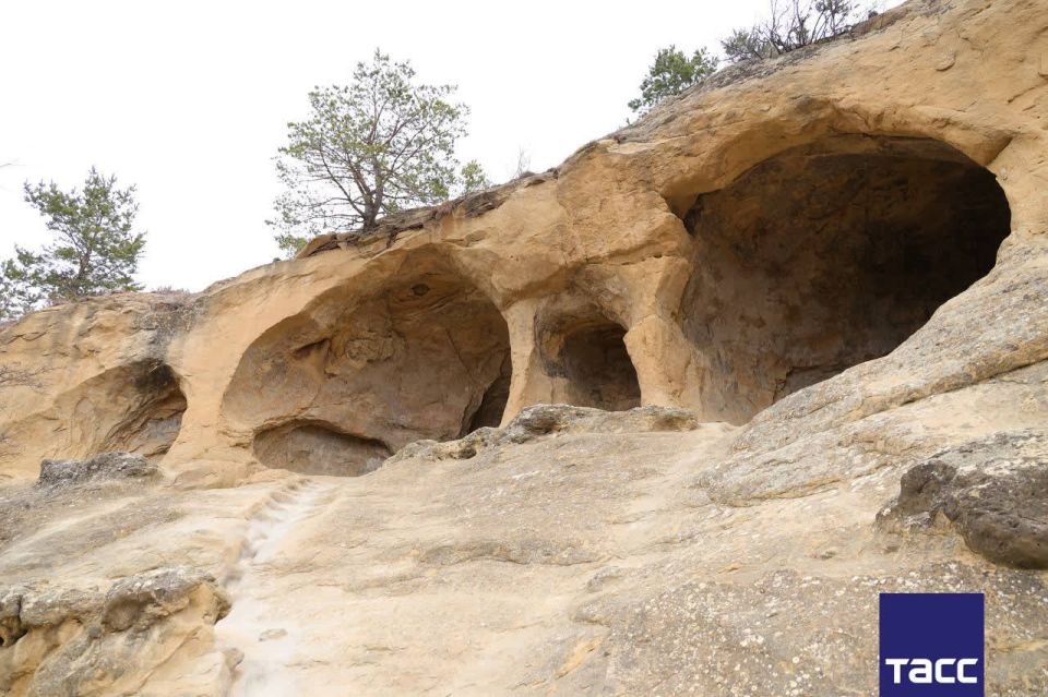 ��������� �������� ���� ������ � �����������