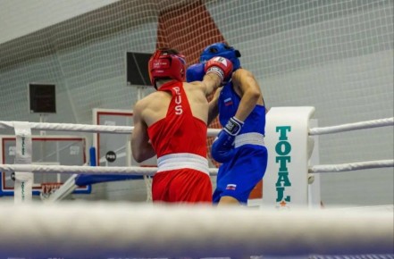 Бокс в Невинномысске. В Невинномысске состоялось открытие всероссийских соревнований по боксу «Кубок командующего воздушно-десантными войсками на призы Героя России, подполковника М.А. Миненкова среди юниоров 17 – 18 лет...