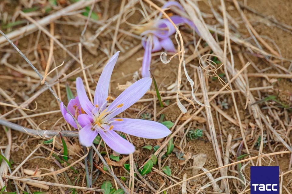 ��������� �������� ���� ������ � �����������