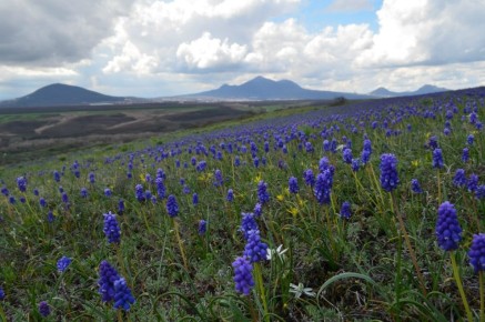 "�����" �� ������� �� ���� �����