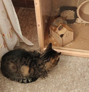 ����� ���� ��������� �� ����� ������ ��������