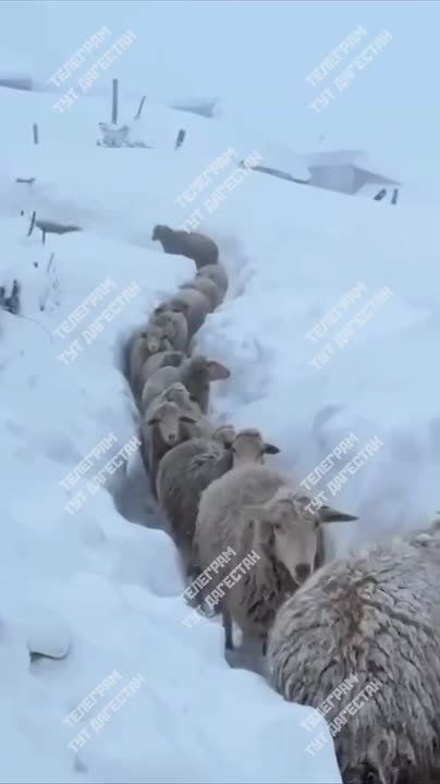 �������� ������� ���� �������� ������