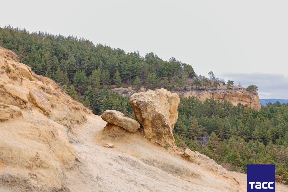 ��������� �������� ���� ������ � �����������