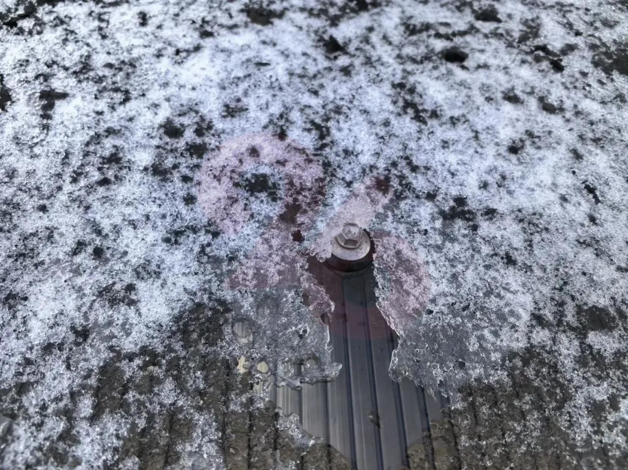 Беспощадный апрельский снег Беспощадный апрельский снег