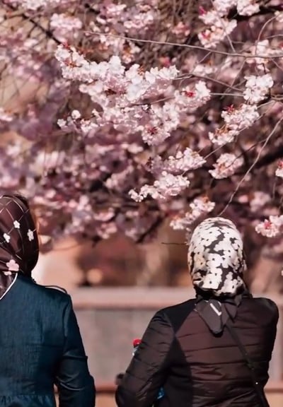 А вы видели, какая в Грозном красота? А вы видели, какая в Грозном красота?