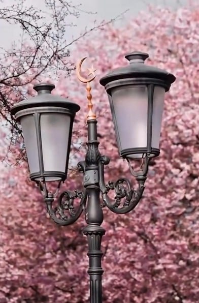 А вы видели, какая в Грозном красота? А вы видели, какая в Грозном красота?