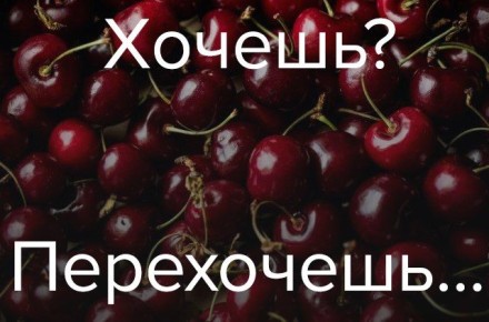 Абрикосы и черешня могут подорожать на рынках России