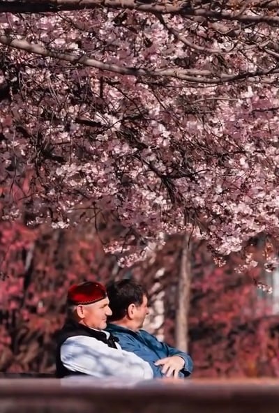 А вы видели, какая в Грозном красота? А вы видели, какая в Грозном красота?