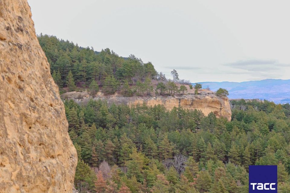 ��������� �������� ���� ������ � �����������