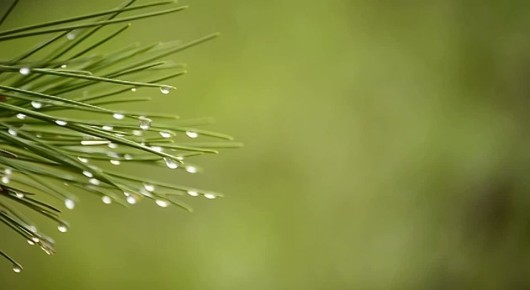 �� ������ ����������, ������ �� ����������� ������� �����, ����� � ��������� ������� �����