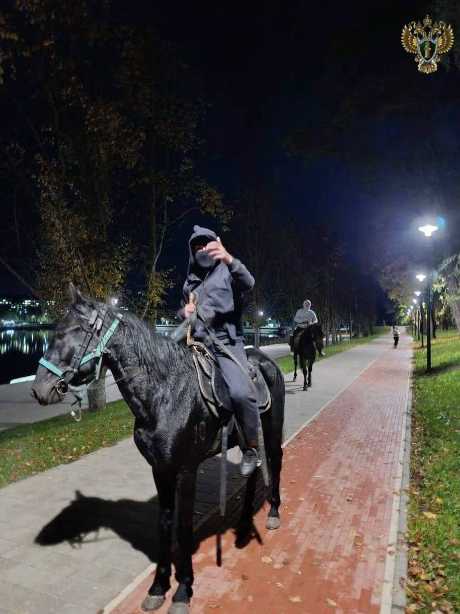 Всадник из Кисловодска, избивший пенсионеров ногайкой, получил 4,5 года колонии