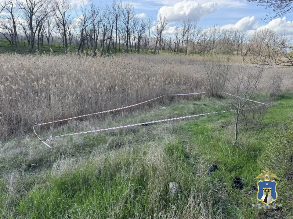 ��������� ����� ������������ ���� ������� �� ���������� �������������