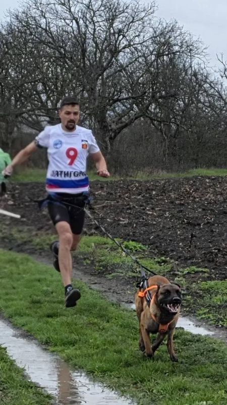 ��������� � ���������� ���� �� �������� ������