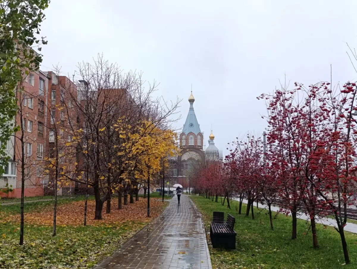 Как провести время зимой: советы для любителей книг