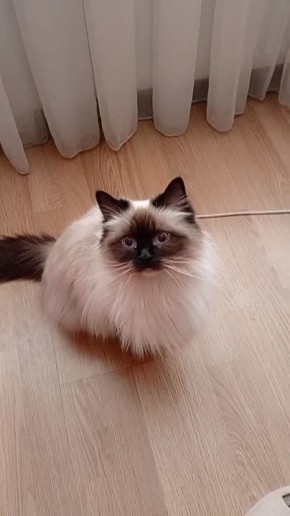 ����� ���������� ��������������� ������� ������ �������