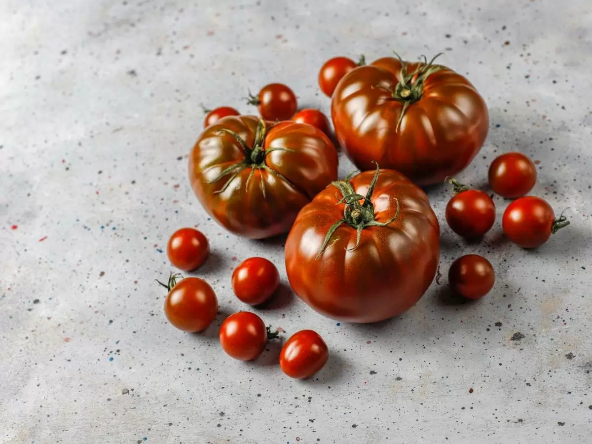 Томаты Кумато: полезнее черники и очень вкусные