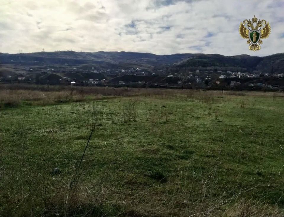 ����������� ����������� �������� ������������ � ���������� ������� ���������������