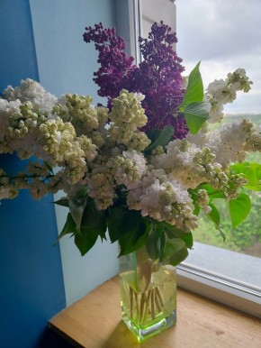 ������������ ��������: ���� � �������� ����� � ������� ����