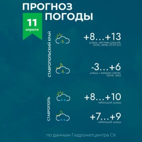 ������ �� ����������� 11 ������