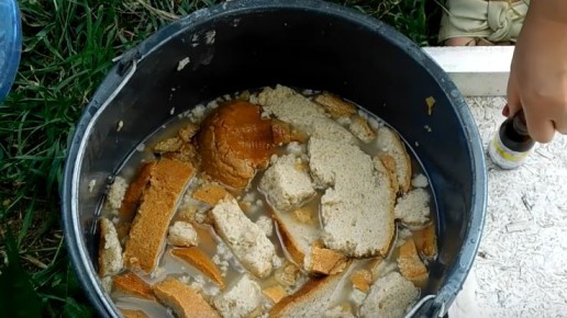 �������� ��������� ��������� �� �����: ��� ����������� ������