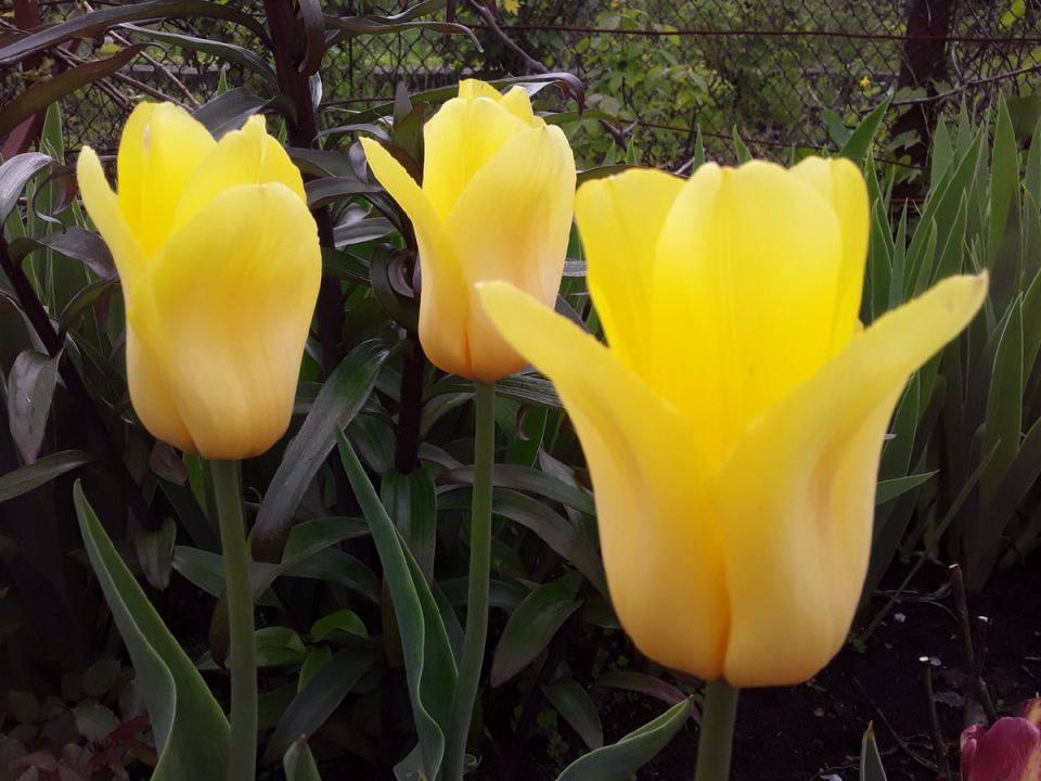 ������ ������ �� ������ � ����� ���������� ����?