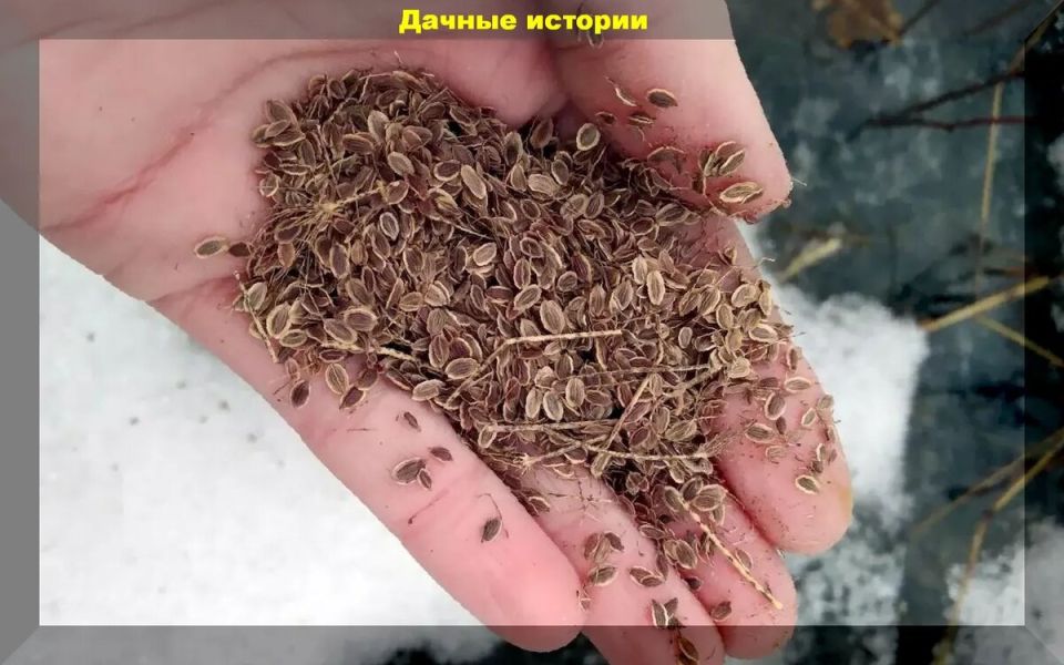 ������� ������� ������ ������ � ������, ������� ������� ������� ������ ������