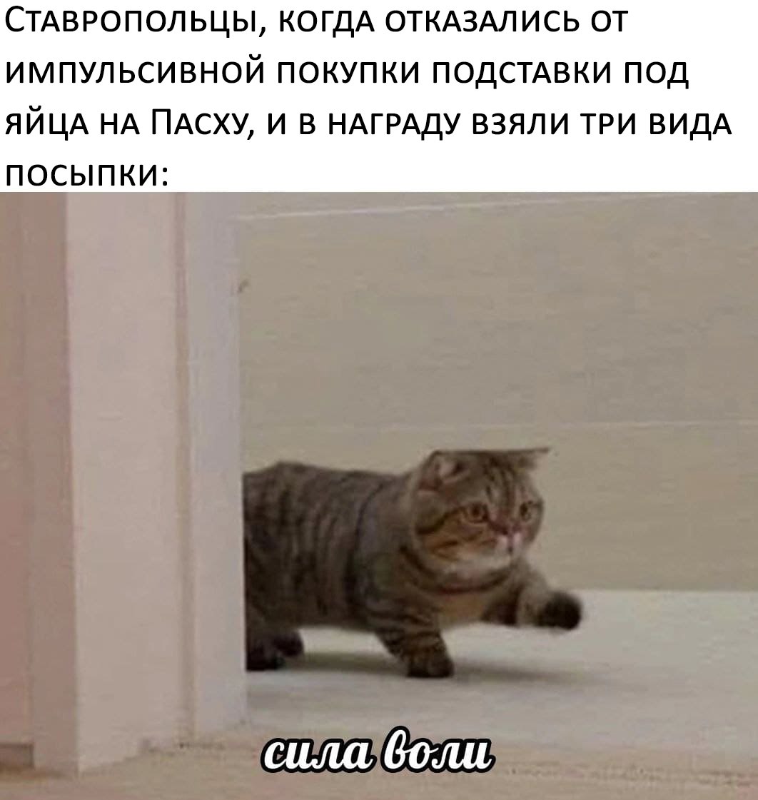 Ставропольцы стали чаще закупаться к Пасхе на маркетплейсах