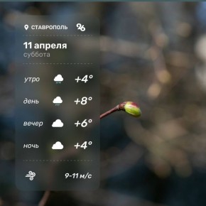 ������ � ���������� 11 ������