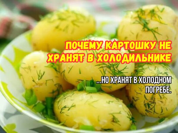 ������ �� ����� ������� �������� � ������������: ������ ���������