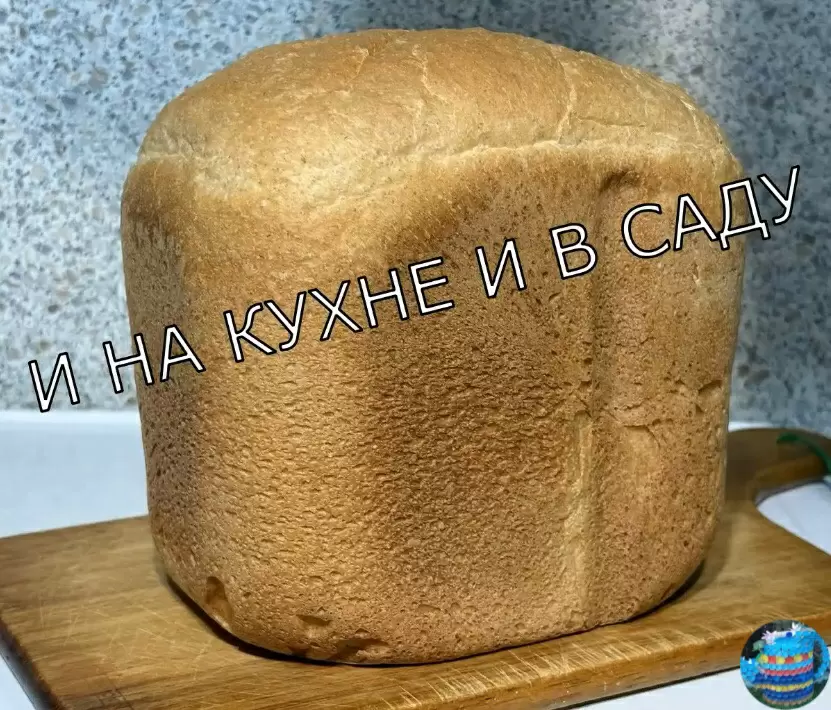 Искусство домашнего хлебопечения: пшенично-зерновой хлеб