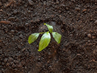 ��� �������� �������� ����� ����� ��������� ����� ���������