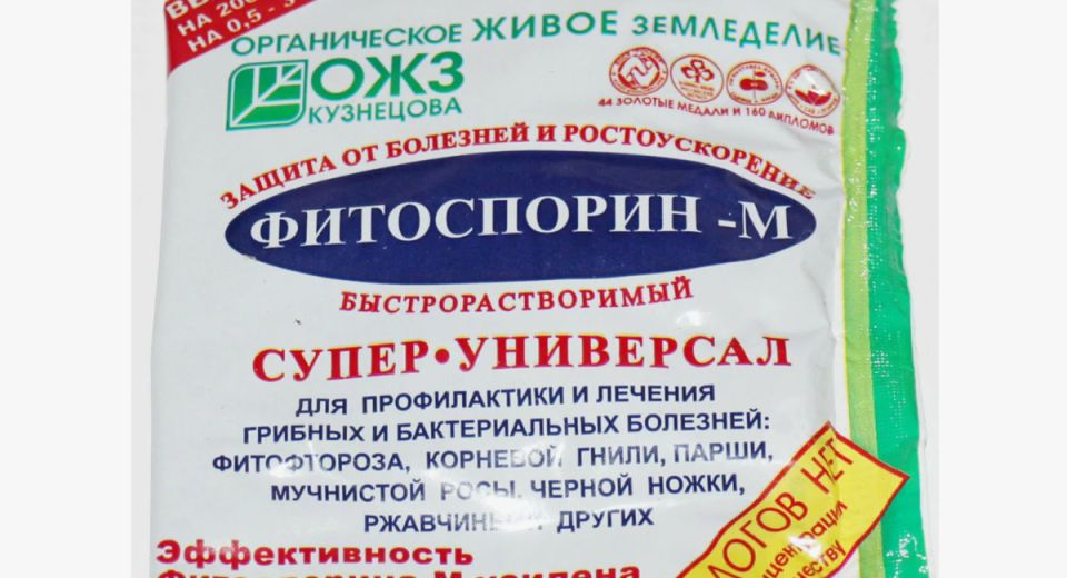 ����������-�: ���������� ������ �������� ������ ������ ����