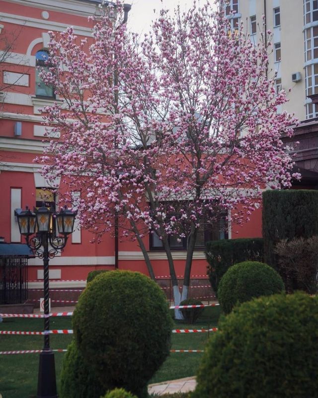 �������� �������� � ����������