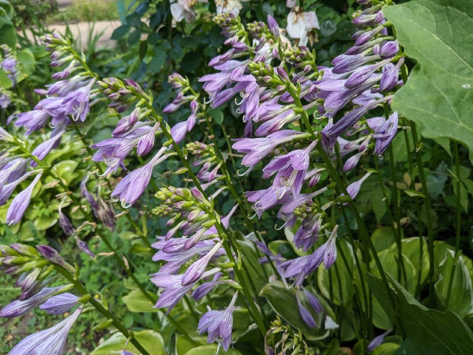 ��� ����� ��������� ����� � ����: �� �������� �� �����������