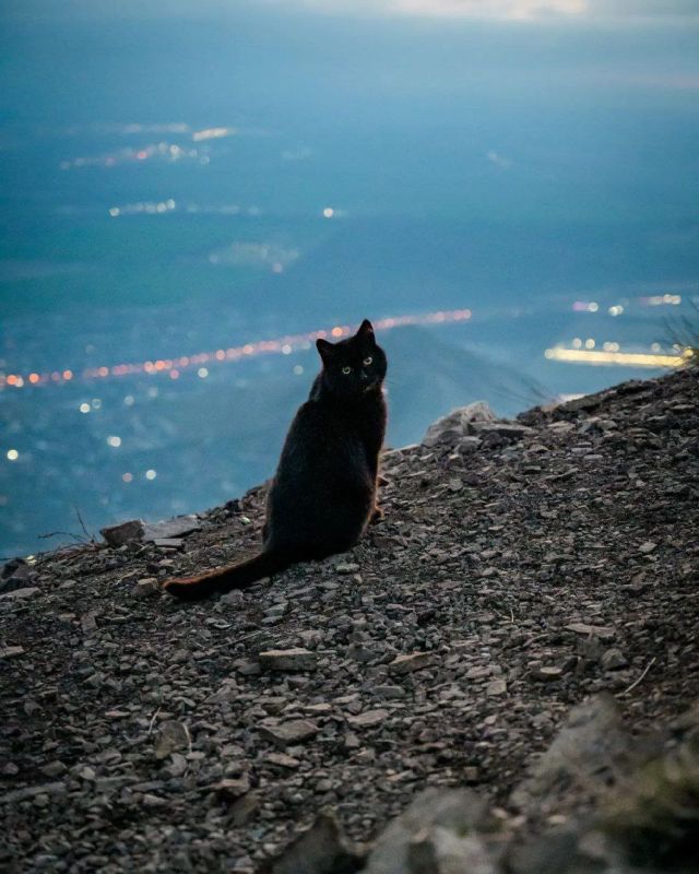 ������, ����������� �� ������� ������, ������ ����� ����������� �������� ������