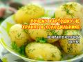 Почему не стоит хранить картошку в холодильнике: мнение экспертов
